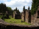 Ruine Meisenbach_6